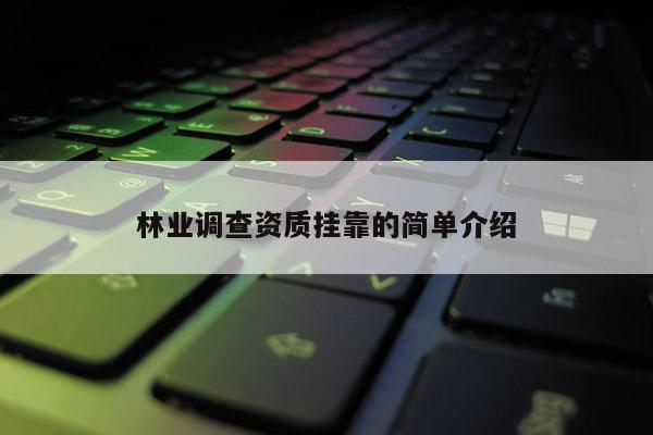 林业调查资质挂靠的简单介绍