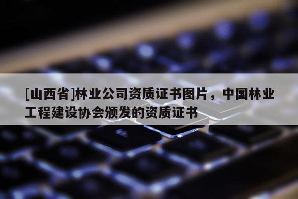 [山西省]林业公司资质证书图片，中国林业工程建设协会颁发的资质证书